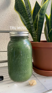 a jar of green smoothie next to a potted plant